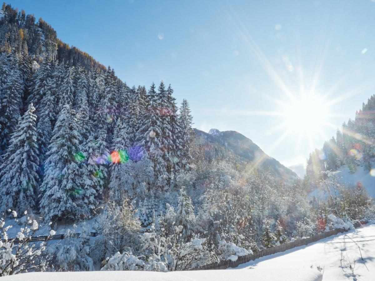 Wildbach Apartments Neustift im Stubaital Ngoại thất bức ảnh